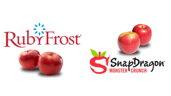 New Product Development: The Importance of Data