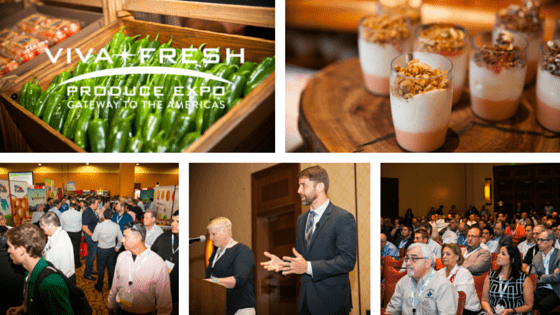 Full Tilt Takes on Viva Fresh 2016