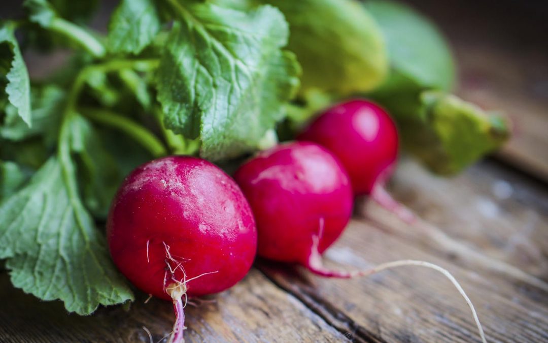 Who Knew Radishes Could become an “It” Trend
