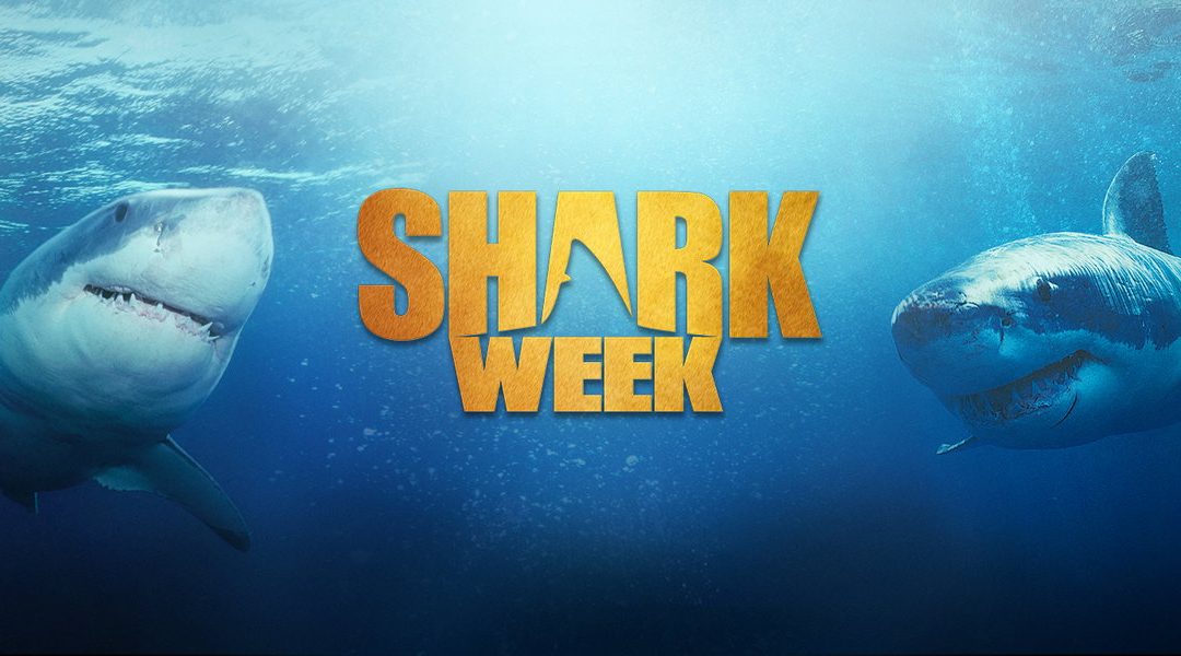 Jumping the Shark Week Seems Impossible Thanks to the Stories